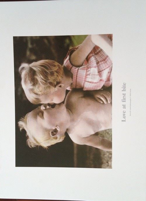 Love At First Bite - 45x60 cm - AFFICHE / POSTER État correct reconditionné disponible sur Fnac