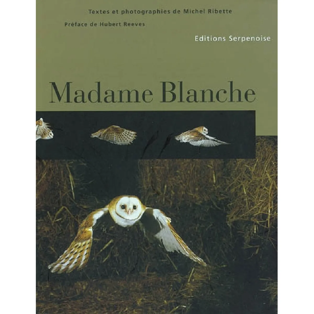 Acheter Madame Blanche État correct - 29,09 € Madame Blanche État correct N/A (Il ne s'agit pas d'une marque reconditionné disponible sur Rue du Commerce Seconde Vie