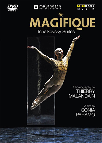 Magnifique État correct reconditionné disponible sur Fnac