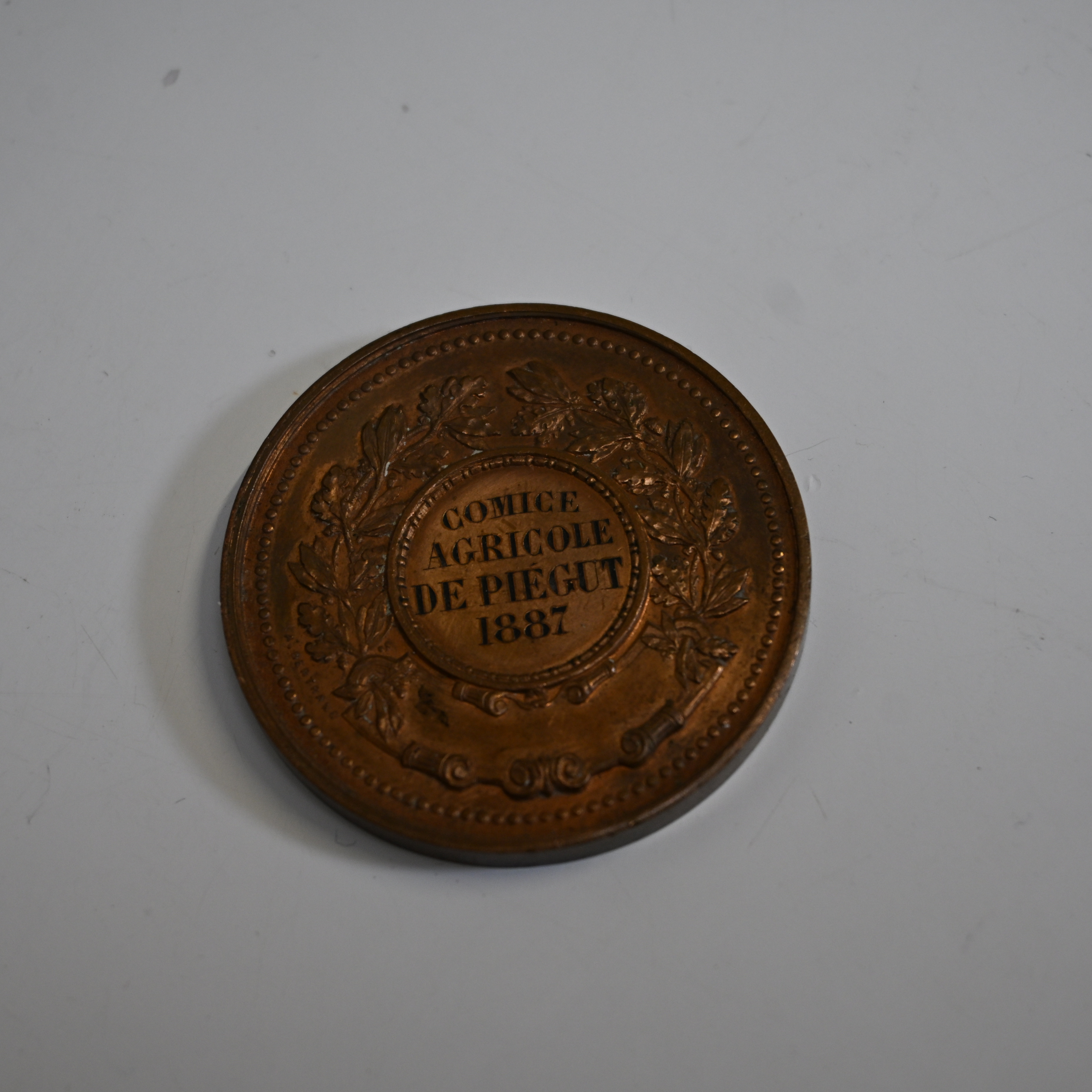 Voir photo 3 de Médaille Comice agricole de Piegert 1887 Médaille Comice agricole de Piegert 1887 Bon état reconditionné photo 3