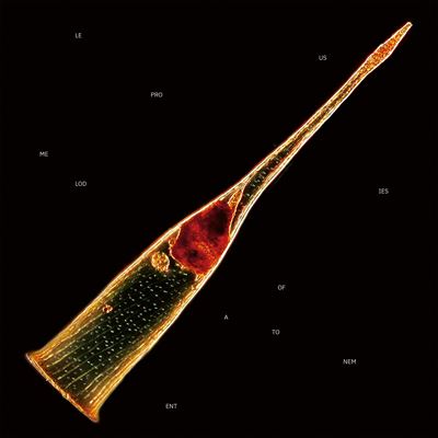 Melodies Of Atonement État correct reconditionné disponible sur Fnac