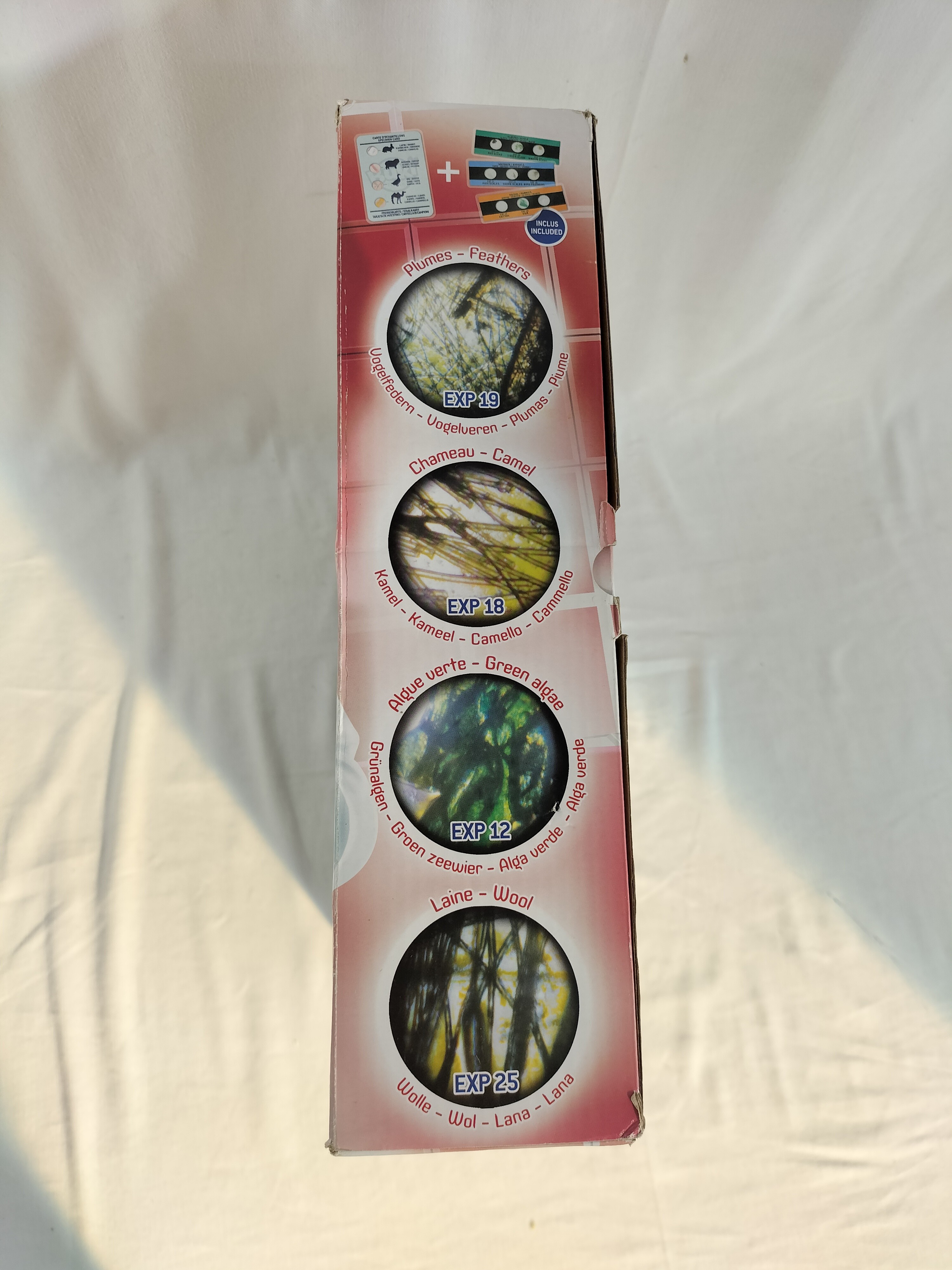 Voir photo 6 de 🔬✨ Microscope enfant BUKI France – Kit scientifique complet 30 expériences ✨🔬 🔬✨ Microscope enfant BUKI France – Kit scientifique complet 30 expériences ✨🔬 reconditionné photo 6