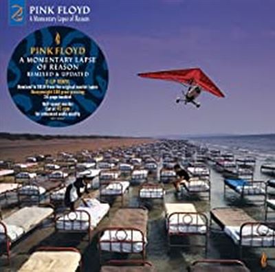 Momentary Lapse Of Reason État correct - 59,11 € Momentary Lapse Of Reason État correct reconditionné disponible sur Fnac