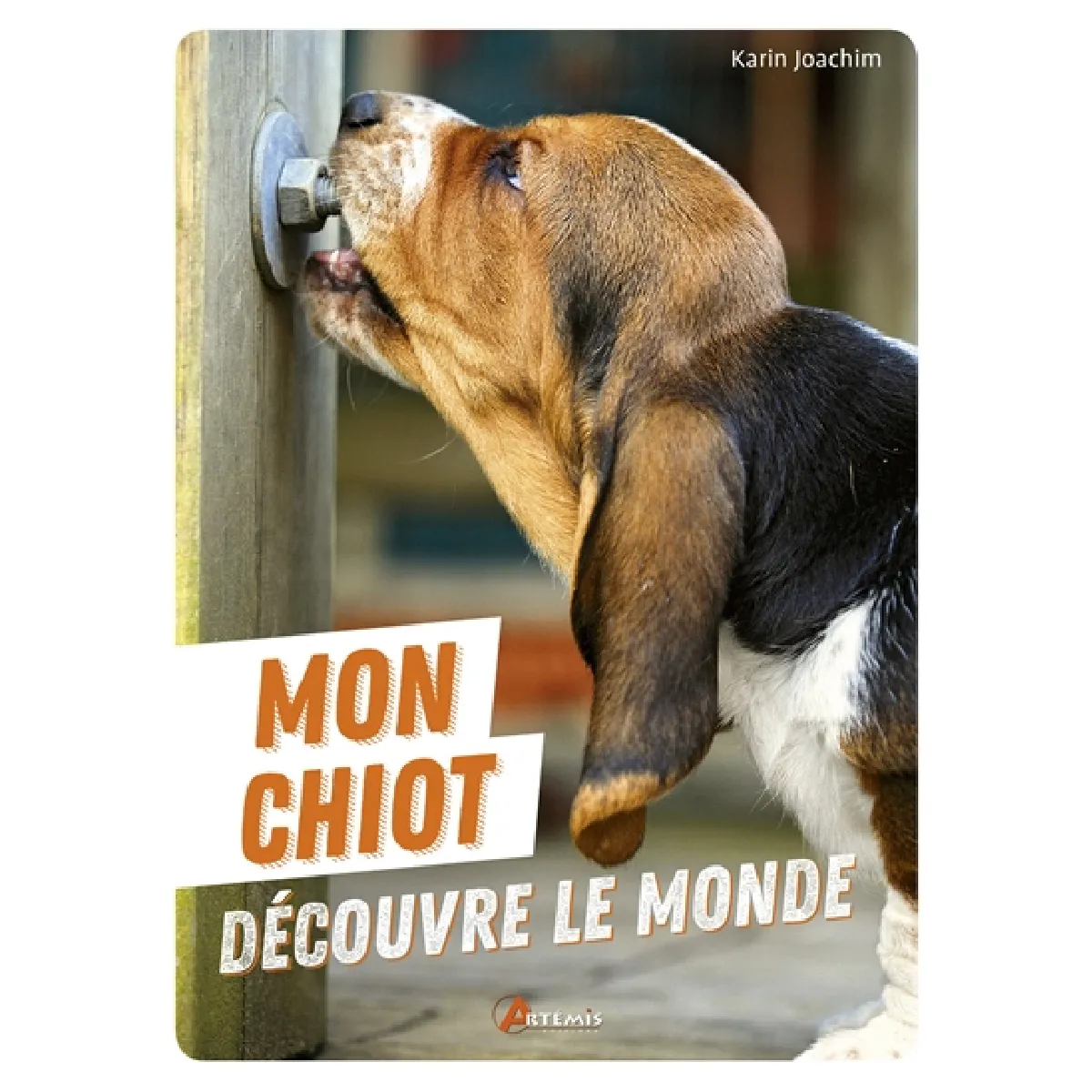 Acheter Mon chiot découvre le monde État correct - 10,00 € Mon chiot découvre le monde État correct N/A (Il ne s'agit pas d'une marque reconditionné disponible sur Rue du Commerce Seconde Vie