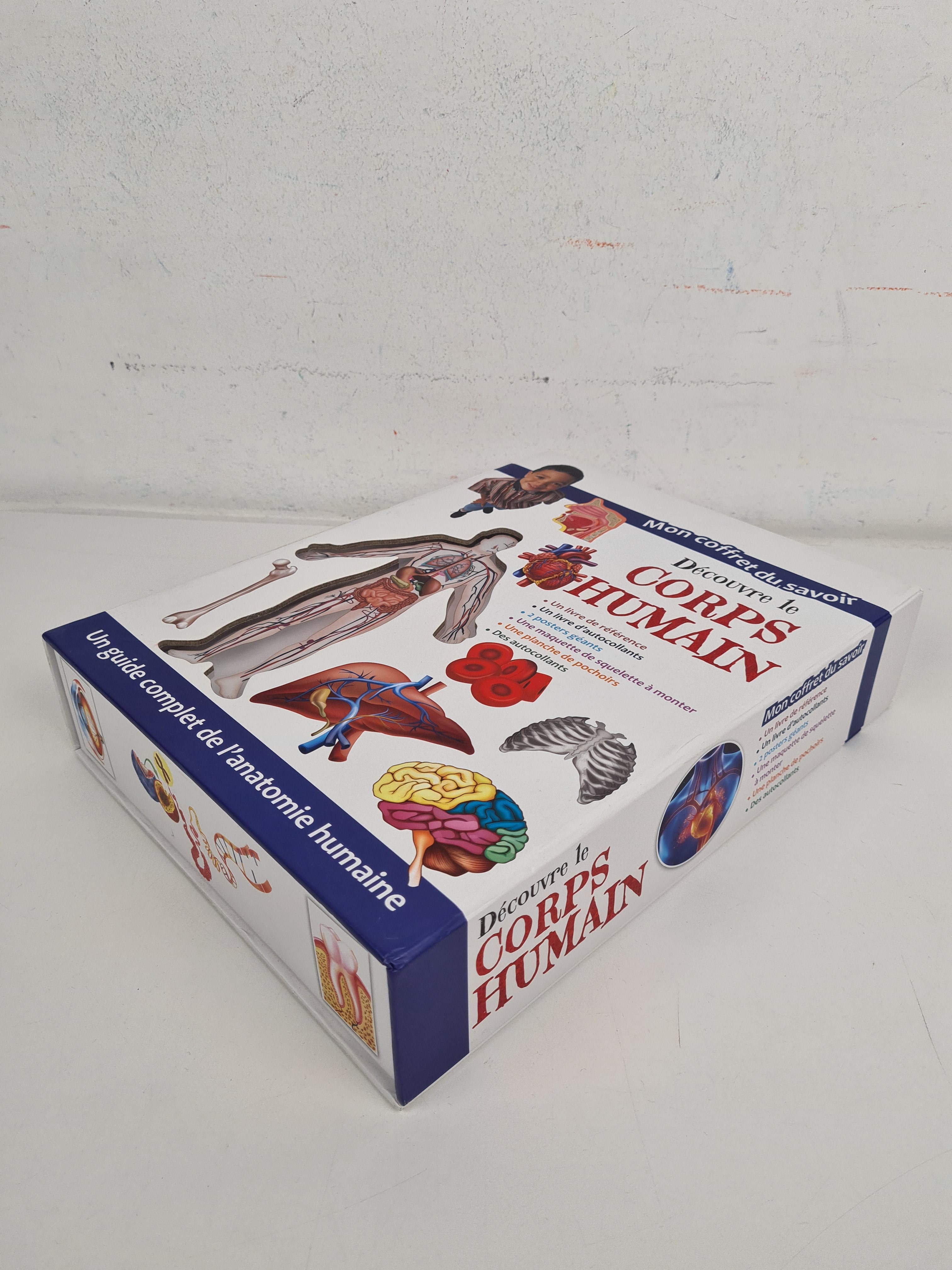 Voir photo 2 de Mon coffret du savoir - Découvre le corps humain - Guide complet de l'anatomie humaine - 6 ans + Mon coffret du savoir - Découvre le corps humain - Guide complet de l'anatomie humaine - 6 ans + Bon état reconditionné photo 2
