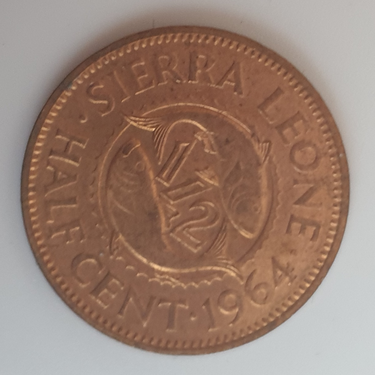 Voir photo 2 de Monnaie Monnaie, Sierra Leone, 1/2 Cent 1964 - British Royal Mint - TTB+ Monnaie Monnaie, Sierra Leone, 1/2 Cent 1964 - British Royal Mint - TTB+ Bon état reconditionné photo 2