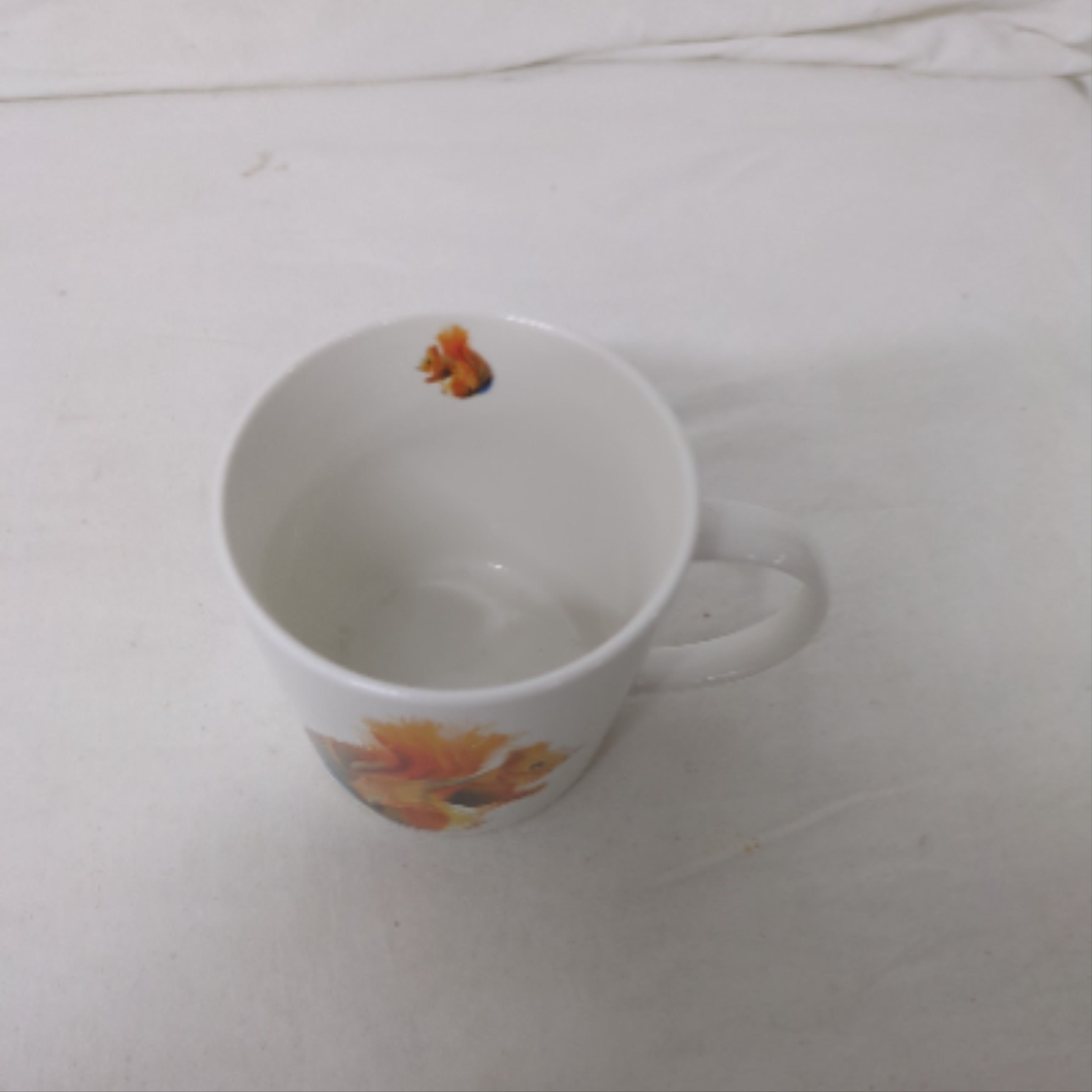 Voir photo 2 de Mug "Ecureuil" Mug "Ecureuil" Parfait état reconditionné photo 2