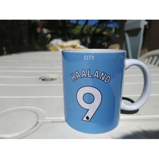 Acheter Mug Haaland City occasion - 15,00 € Mug Haaland City occasion reconditionné disponible sur Rakuten