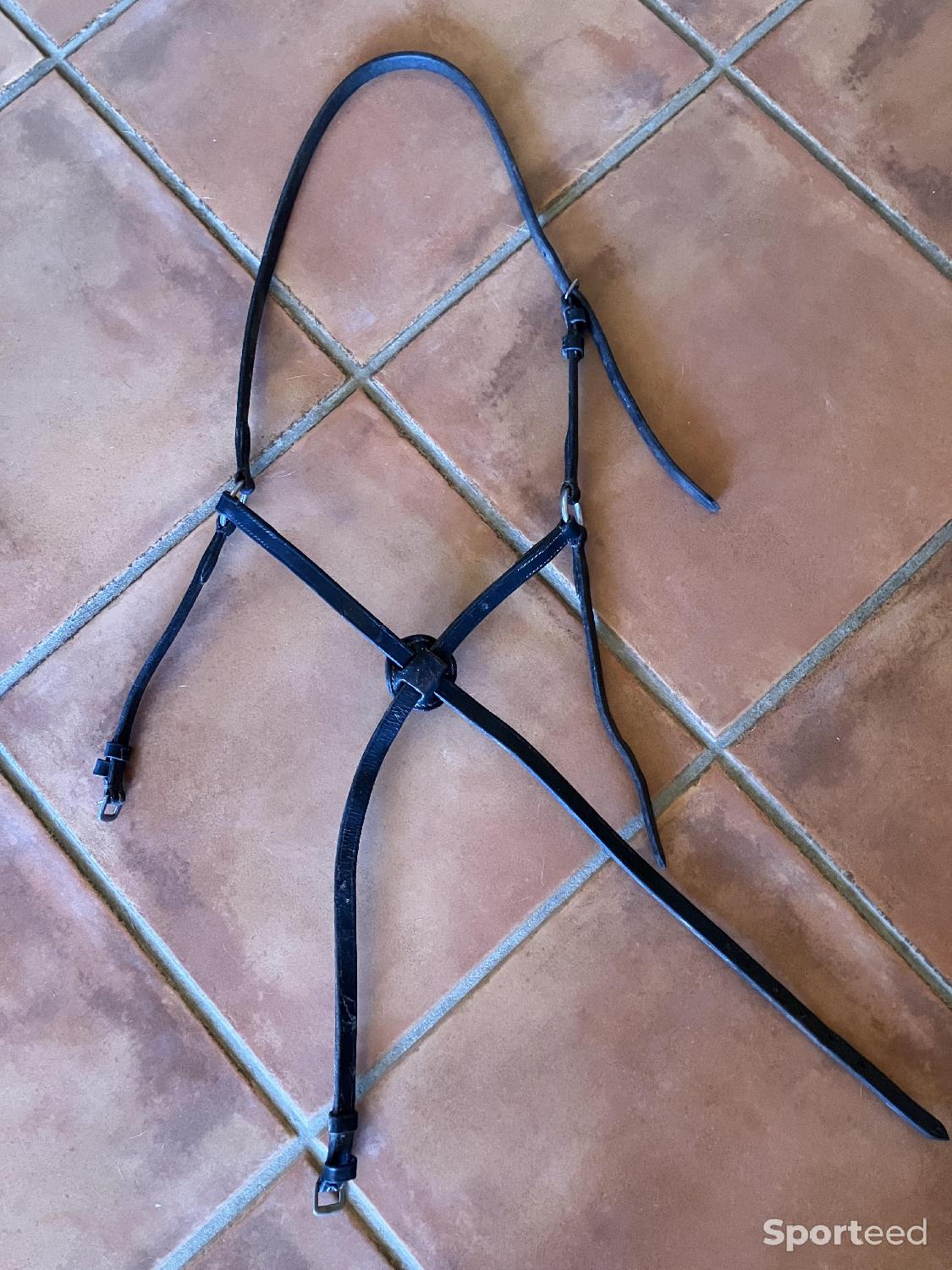 Muserolle croisée Très bon état reconditionné disponible sur Sporteed