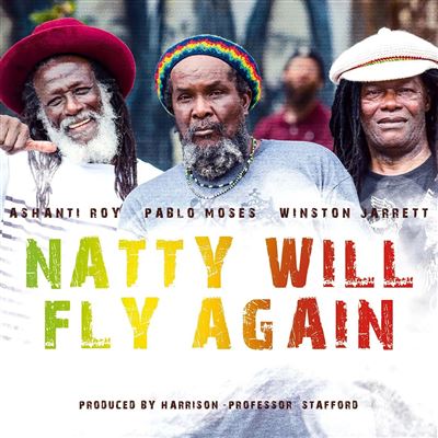 Natty Will Fly Again État correct reconditionné disponible sur Fnac