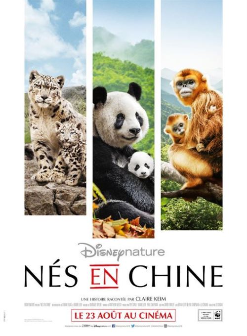 Nés en Chine AFFICHE CINEMA ORIGINALE État correct - 19,99 € Nés en Chine AFFICHE CINEMA ORIGINALE État correct N/A reconditionné disponible sur Fnac