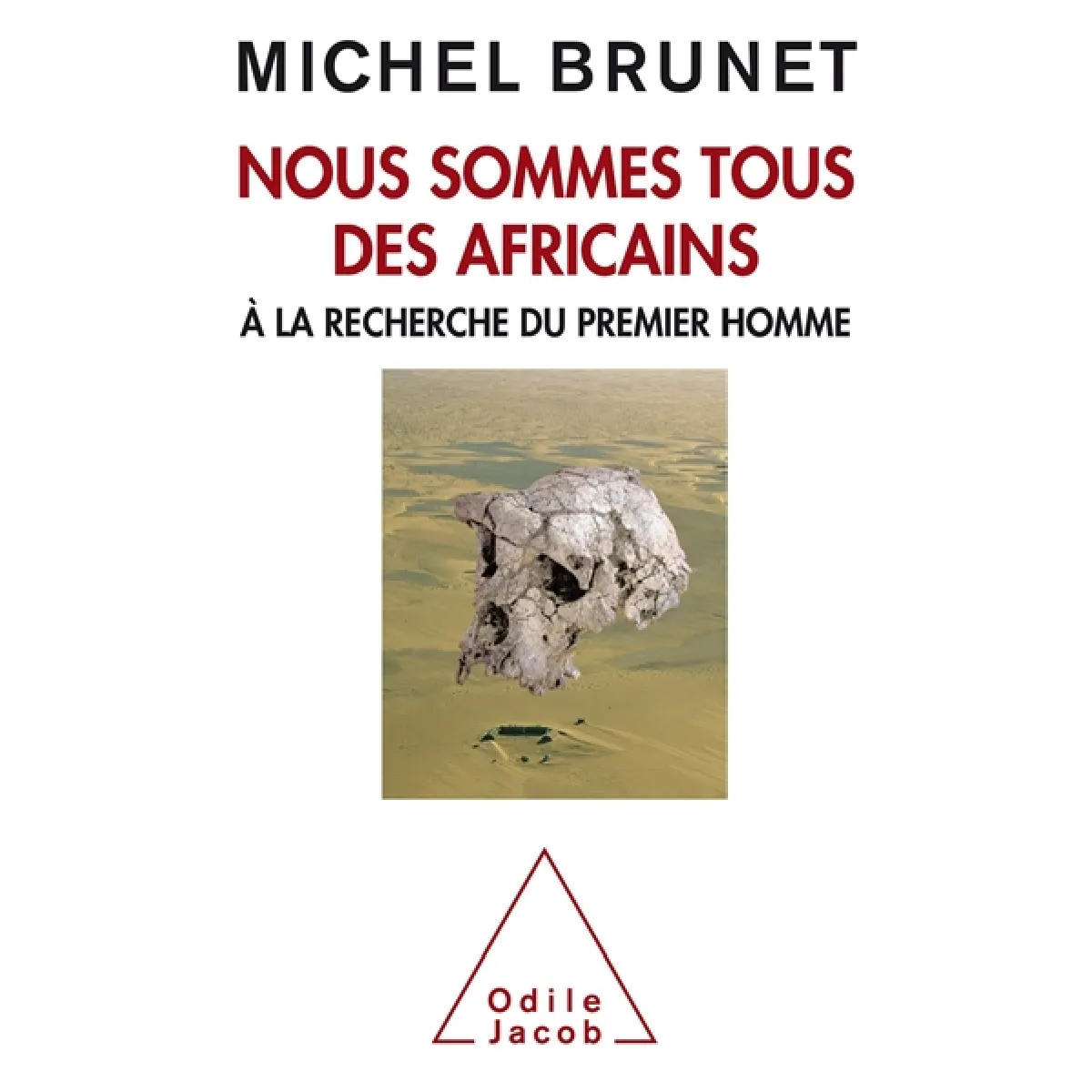 Nous sommes tous des Africains : à la recherche du premier homme État correct - 10,97 € Nous sommes tous des Africains : à la recherche du premier homme État correct N/A (Il ne s'agit pas d'une marque reconditionné disponible sur Rue du Commerce Seconde Vie