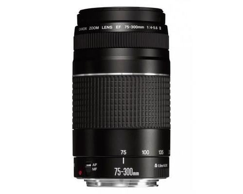Objectif Canon ef 75-300mm f/4.0-5.6 III État correct Canon reconditionné disponible sur Fnac