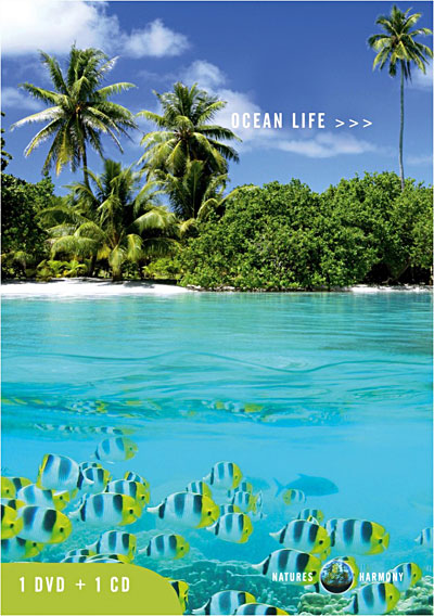 Acheter Ocean life État correct - 22,20 € Ocean life État correct reconditionné disponible sur Fnac