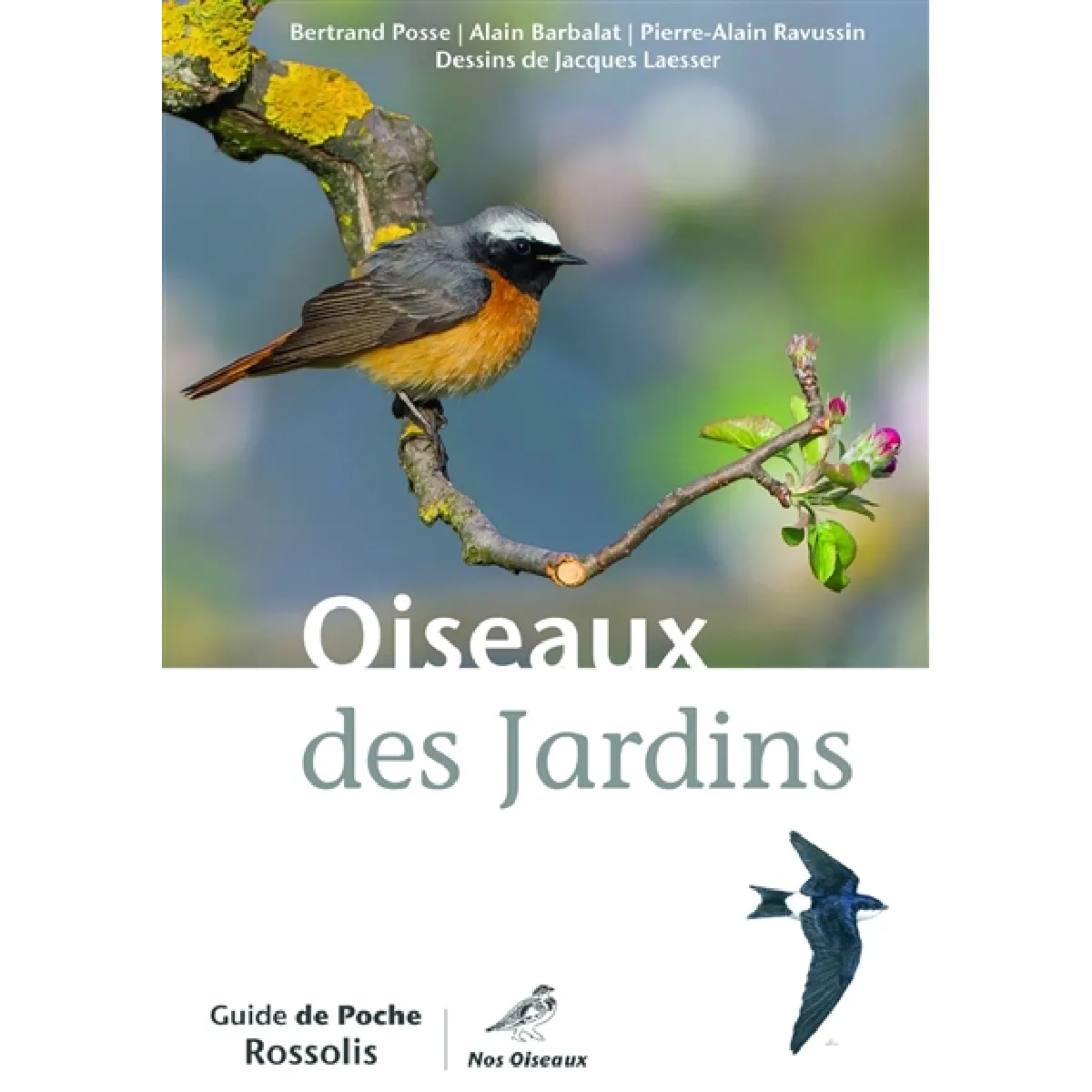 Acheter Oiseaux des jardins État correct - 11,46 € Oiseaux des jardins État correct N/A (Il ne s'agit pas d'une marque reconditionné disponible sur Rue du Commerce Seconde Vie
