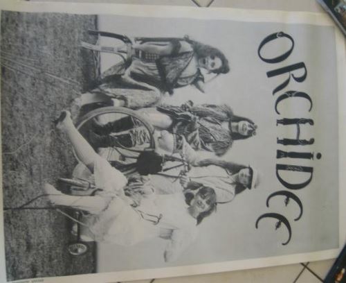 ORCHIDEE - 50x70 cm - AFFICHE / POSTER État correct N/A reconditionné disponible sur Fnac
