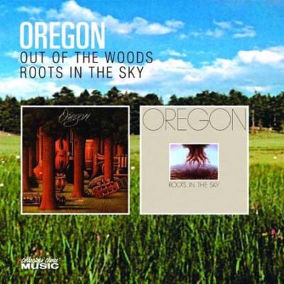 Out of the woods Roots in the sky État correct reconditionné disponible sur Fnac