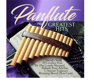 Pan flute Greatests Hits État correct reconditionné disponible sur Fnac | Dero