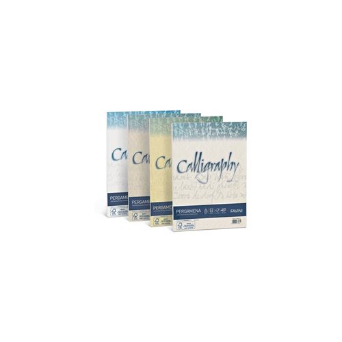 Papier jet d'encre Favini Pergamena Calligraphy A4 50 feuilles Beige État correct reconditionné disponible sur Fnac