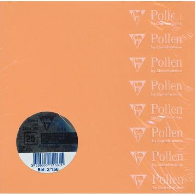 Paquet de 25 cartes pliées Pollen 160x160mm Clémentine 210g État correct reconditionné disponible sur Fnac