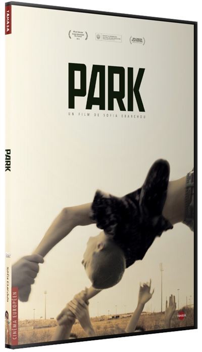 Park DVD État correct reconditionné disponible sur Fnac
