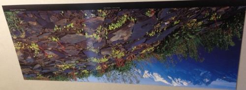 Patrice LABARBE - 26x70 cm - AFFICHE / POSTER État correct N/A reconditionné disponible sur Fnac