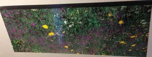 Patrice LABARBE - 26x70 cm - AFFICHE / POSTER État correct reconditionné disponible sur Fnac