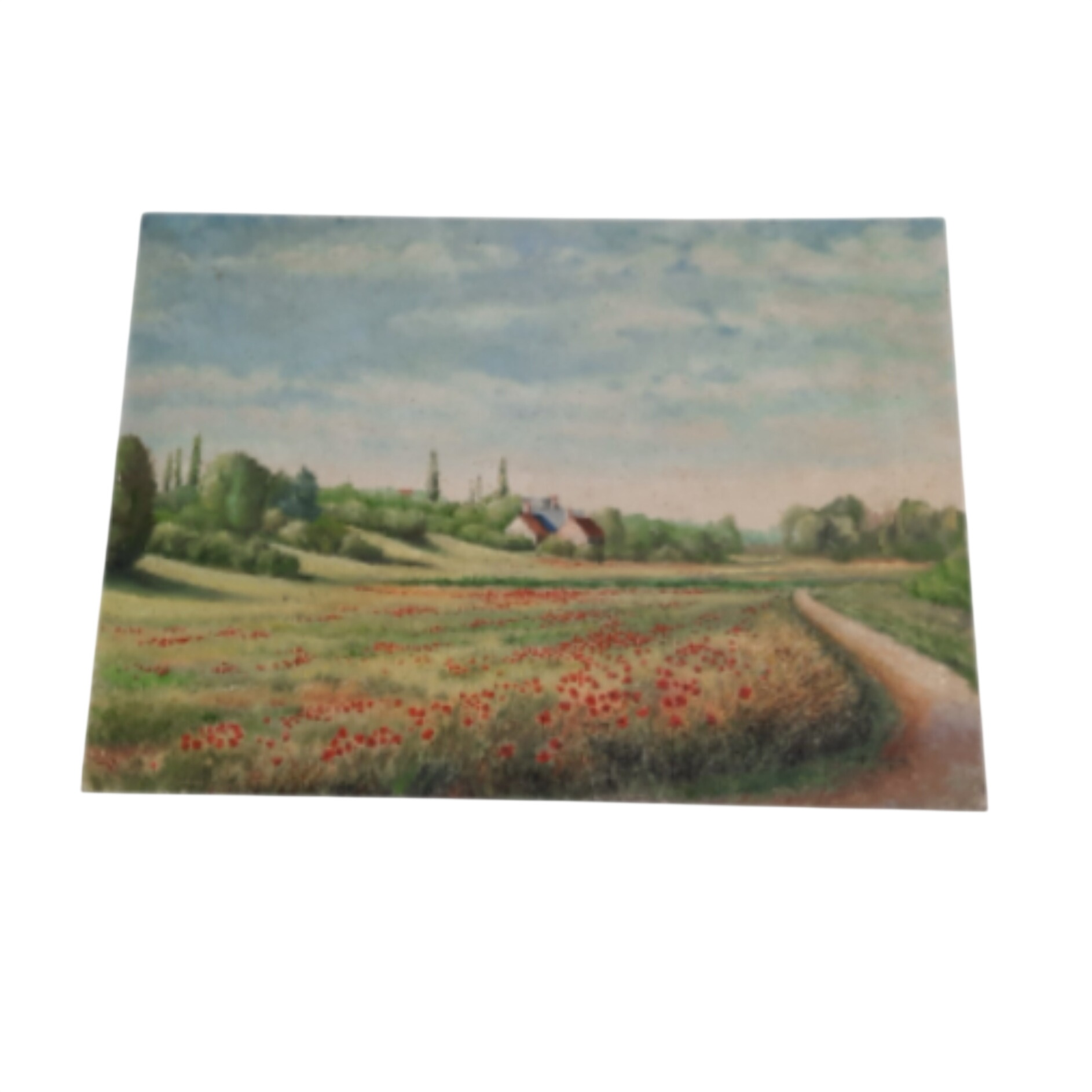 Acheter Paysage coquelicots Bon état - 10,00 € Paysage coquelicots Bon état reconditionné disponible sur Label Emmaüs