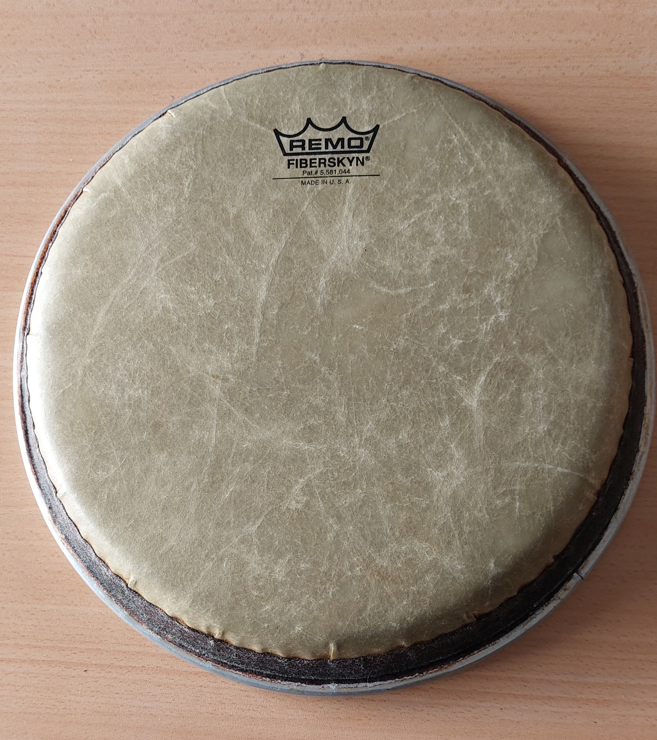 Peau conga Remo 11" Très bon état reconditionné disponible sur Zic Ethic