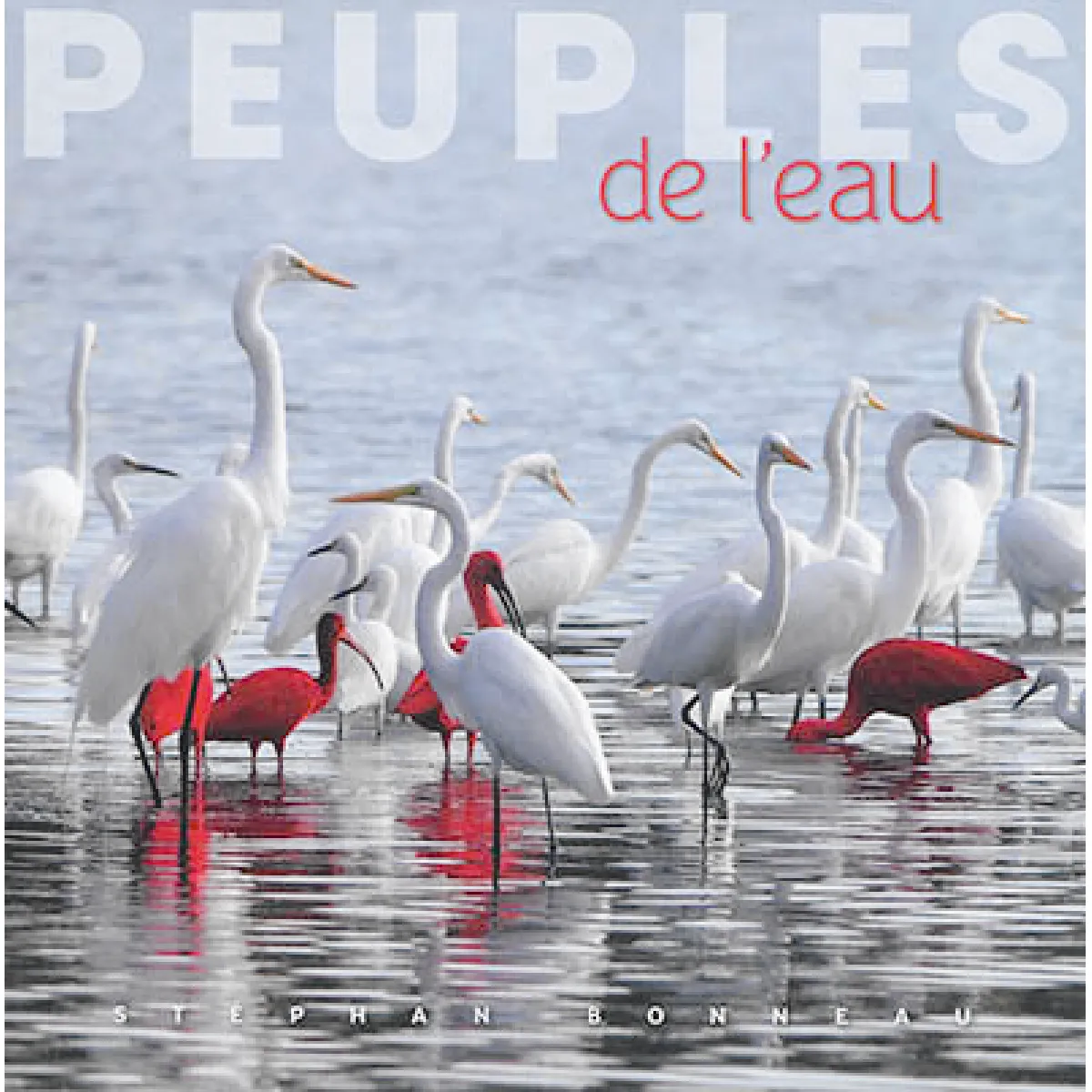 Acheter Peuples de l'eau État correct - 10,83 € Peuples de l'eau État correct N/A (Il ne s'agit pas d'une marque reconditionné disponible sur Rue du Commerce Seconde Vie