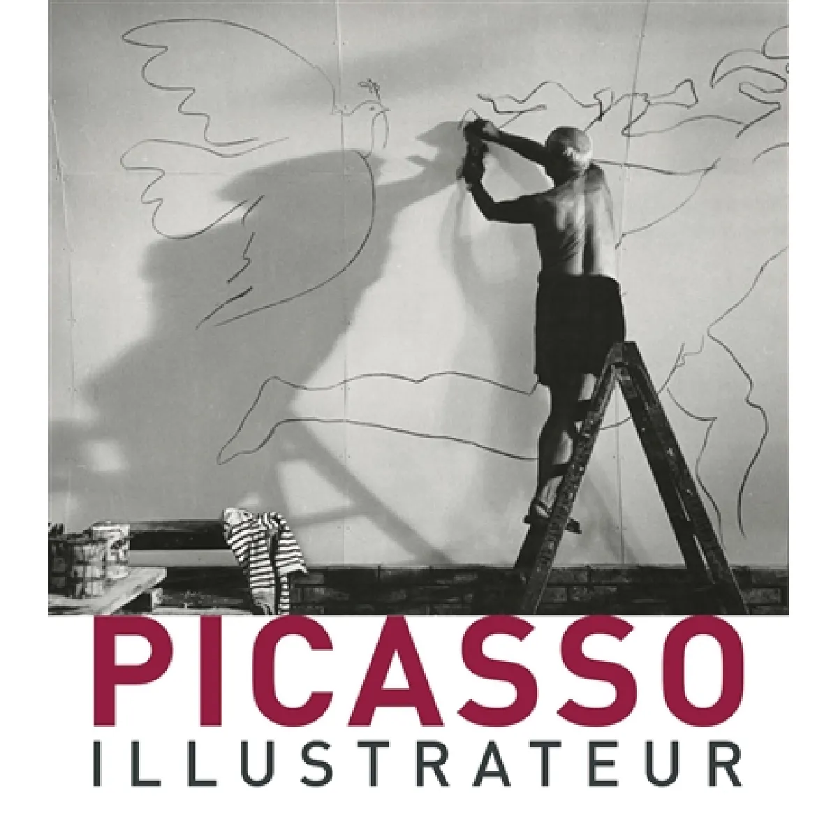 Acheter Picasso illustrateur État correct - 16,20 € Picasso illustrateur État correct N/A (Il ne s'agit pas d'une marque reconditionné disponible sur Rue du Commerce Seconde Vie