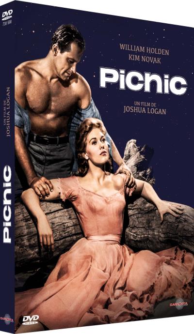 Picnic DVD État correct reconditionné disponible sur Fnac