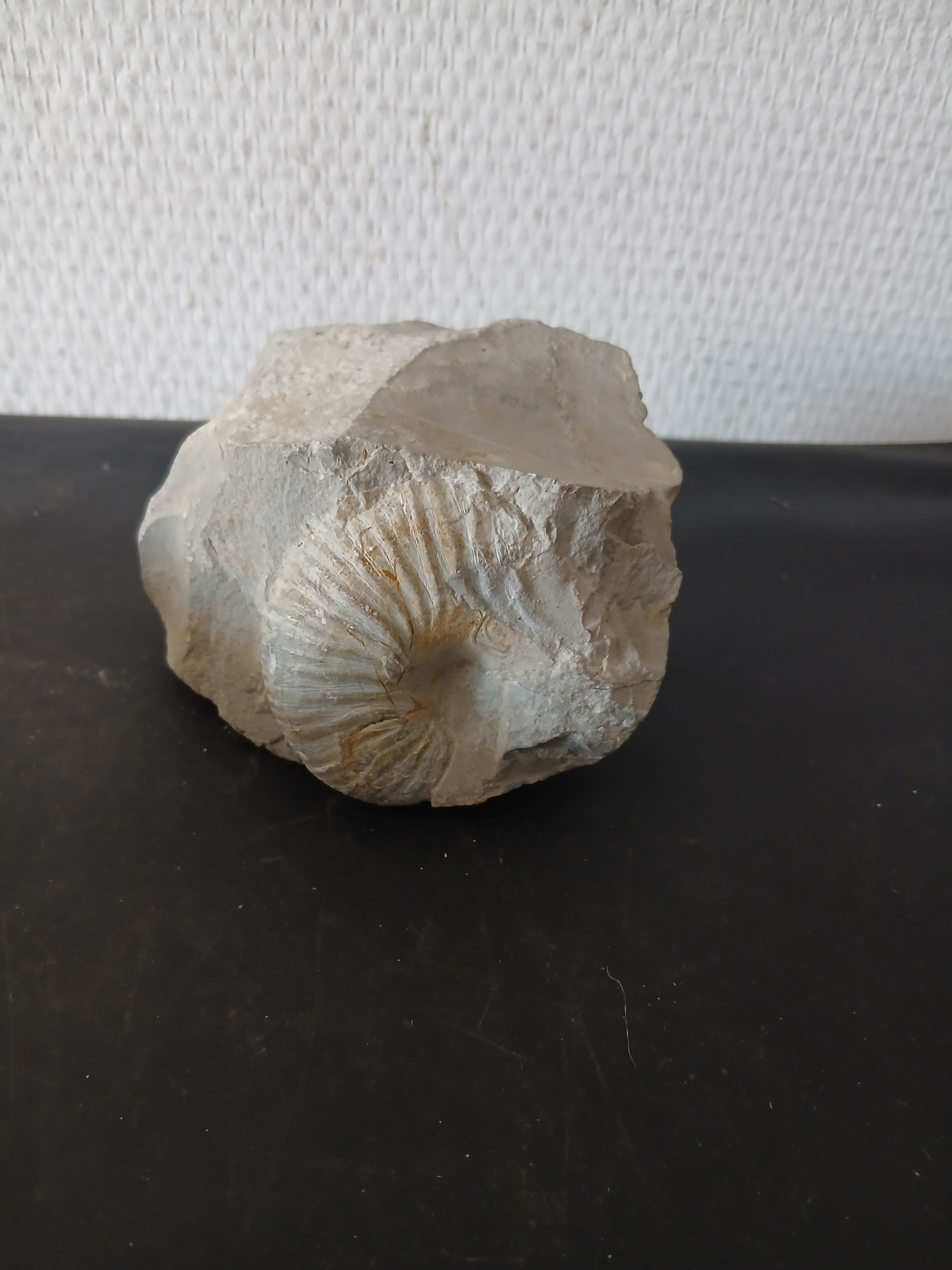 Voir photo 3 de Pierre, presse-papier découvrant un fossile d'ammonite. (poids 800 gr) Pierre, presse-papier découvrant un fossile d'ammonite. (poids 800 gr) Bon état reconditionné photo 3