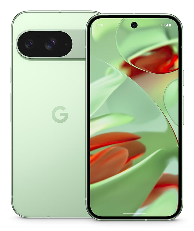 Pixel 9 (5G) 128 Go, Vert Amande, Débloqué - Bon état Bon état Google reconditionné photo 2 | Dero