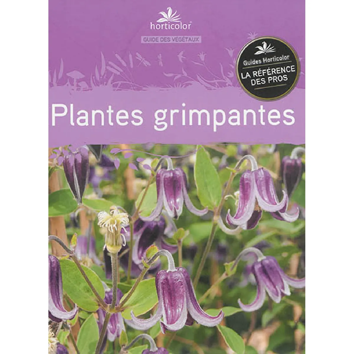 Acheter Plantes grimpantes État correct - 12,99 € Plantes grimpantes État correct N/A (Il ne s'agit pas d'une marque reconditionné disponible sur Rue du Commerce Seconde Vie