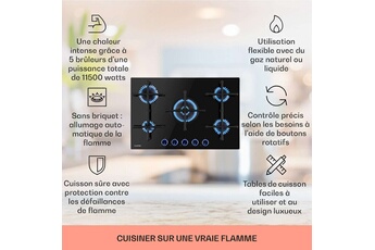 Plaque de cuisson gaz 5 foyers 4000 W 50 cm Bon état Klarstein reconditionné disponible sur Darty | Dero