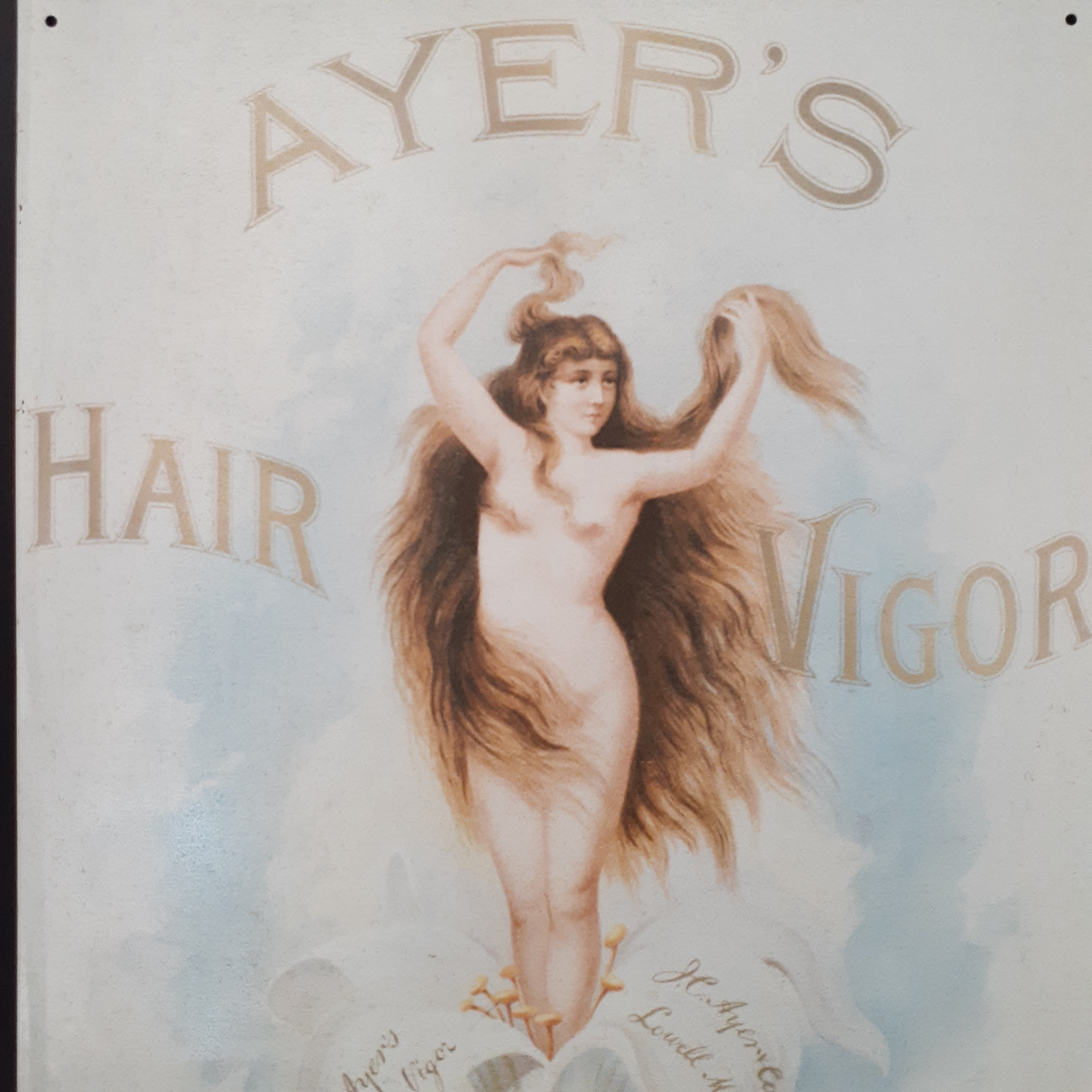 Voir photo 2 de Plaque métal Américaine 1993 - Publicitaire " AYER'S Hair Vigor" Plaque métal Américaine 1993 - Publicitaire " AYER'S Hair Vigor" Bon état reconditionné photo 2