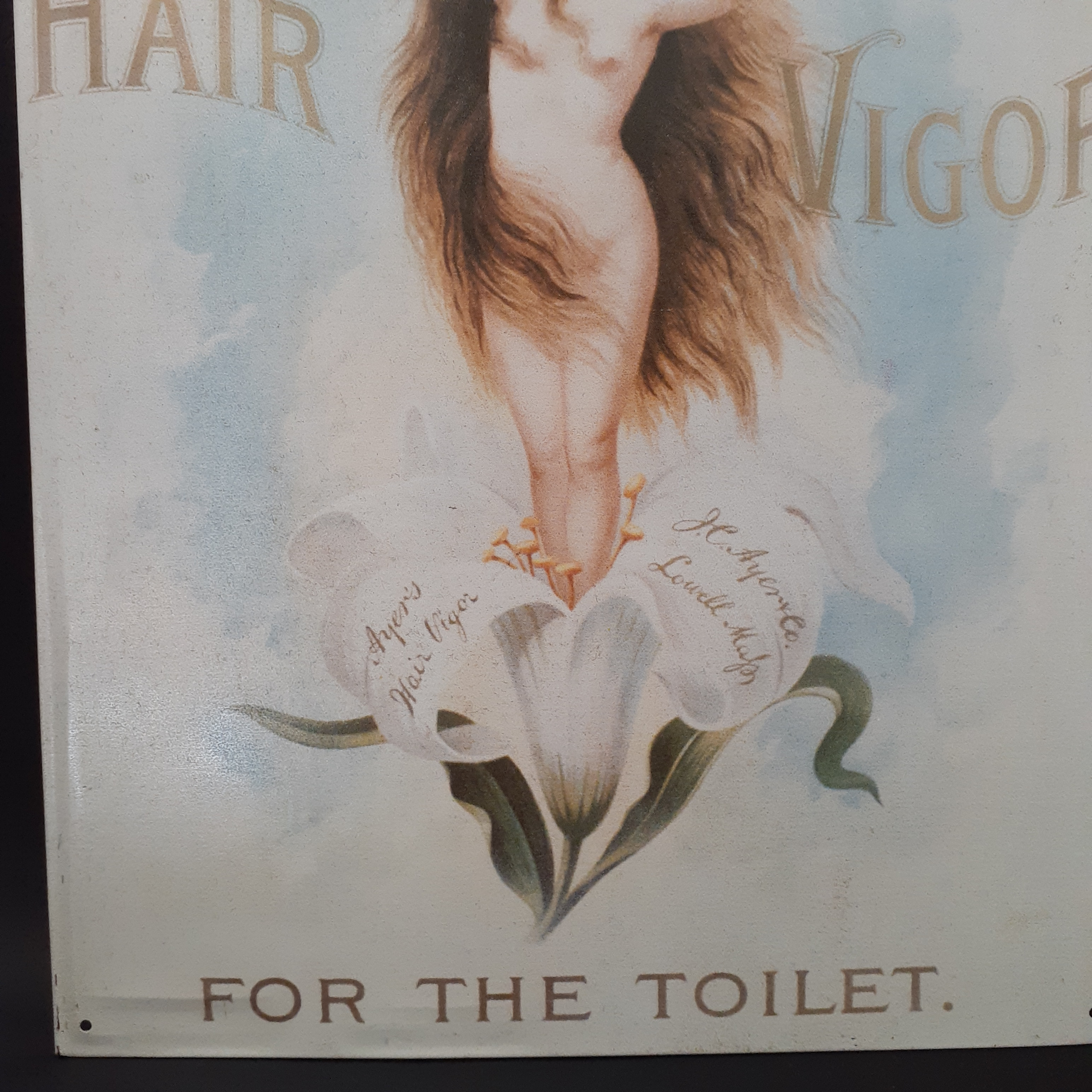 Voir photo 3 de Plaque métal Américaine 1993 - Publicitaire " AYER'S Hair Vigor" Plaque métal Américaine 1993 - Publicitaire " AYER'S Hair Vigor" Bon état reconditionné photo 3