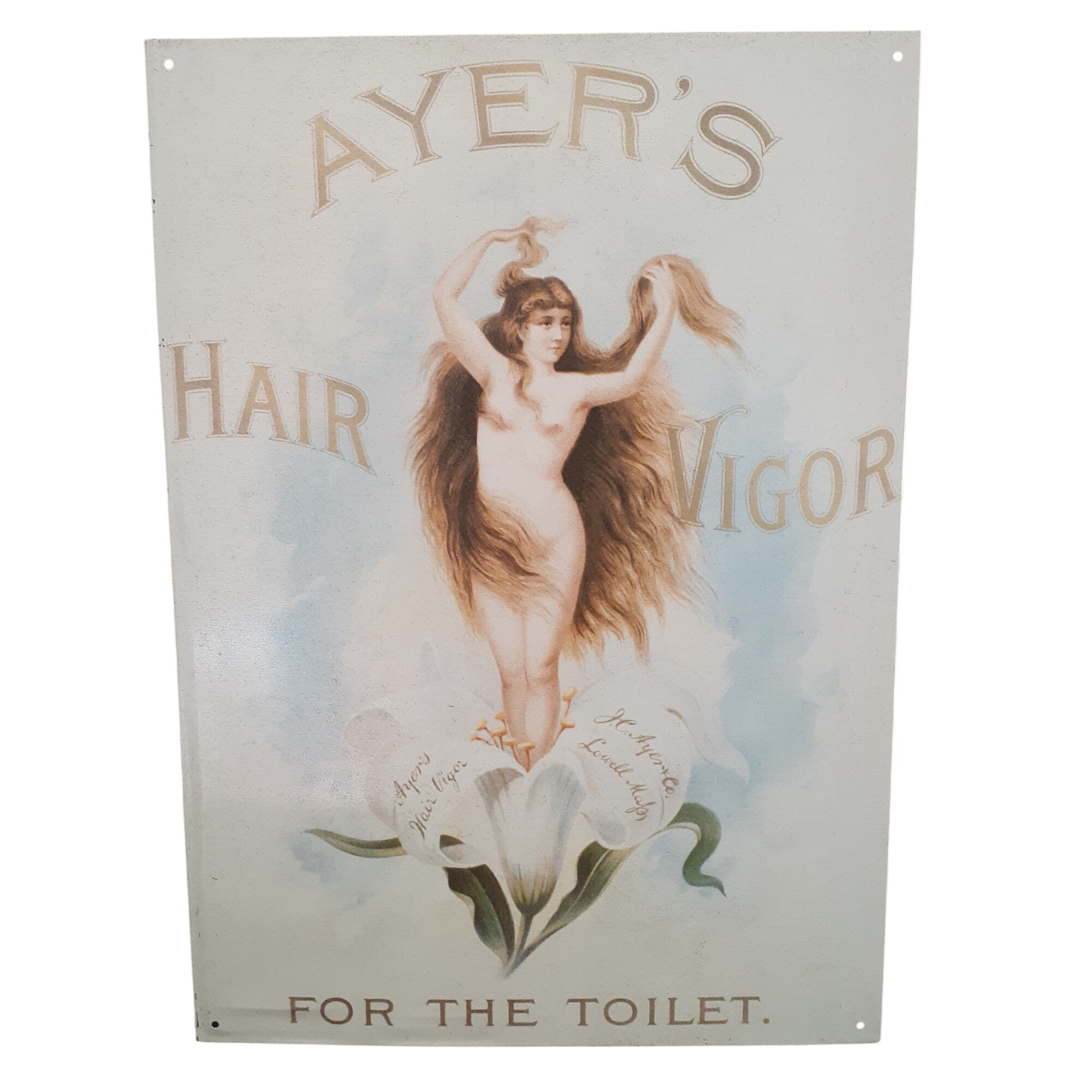 Plaque métal Américaine 1993 - Publicitaire " AYER'S Hair Vigor" Bon état - 20,80 € Plaque métal Américaine 1993 - Publicitaire " AYER'S Hair Vigor" Bon état reconditionné disponible sur Label Emmaüs