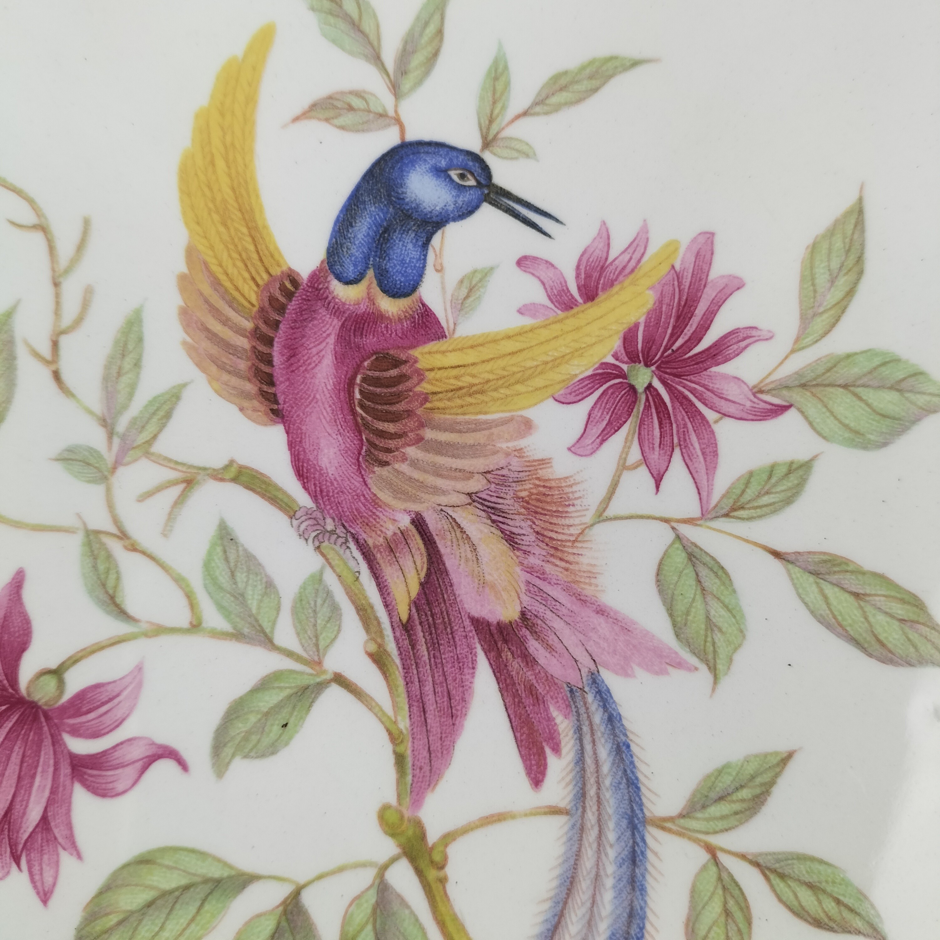 Voir photo 14 de Plat de présentation Art décoratif Digoin & Sarreguemines – “Oiseau des îles” – Début XXe siècle Plat de présentation Art décoratif Digoin & Sarreguemines – “Oiseau des îles” – Début XXe siècle Bon état reconditionné photo 14