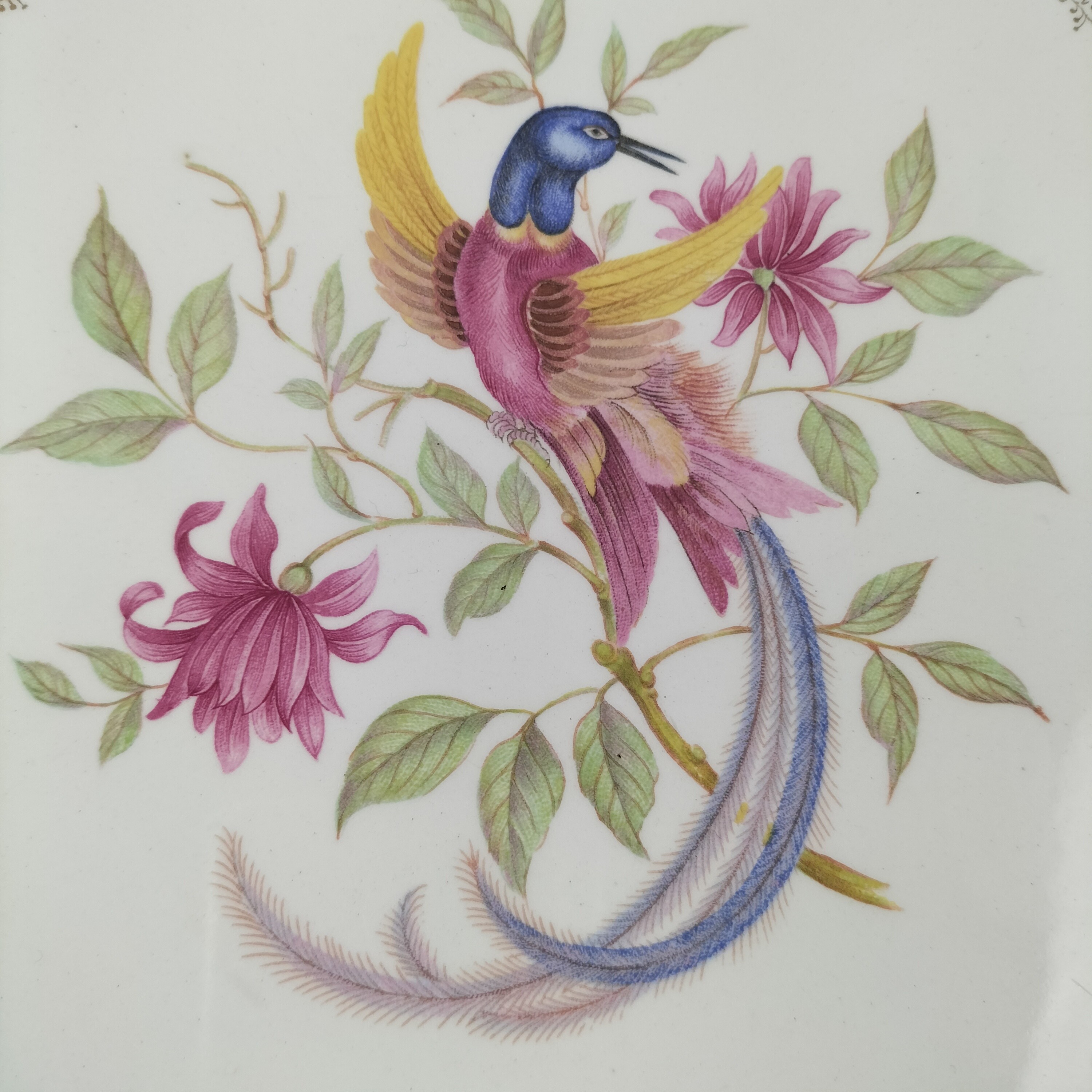 Voir photo 4 de Plat de présentation Art décoratif Digoin & Sarreguemines – “Oiseau des îles” – Début XXe siècle Plat de présentation Art décoratif Digoin & Sarreguemines – “Oiseau des îles” – Début XXe siècle Bon état reconditionné photo 4