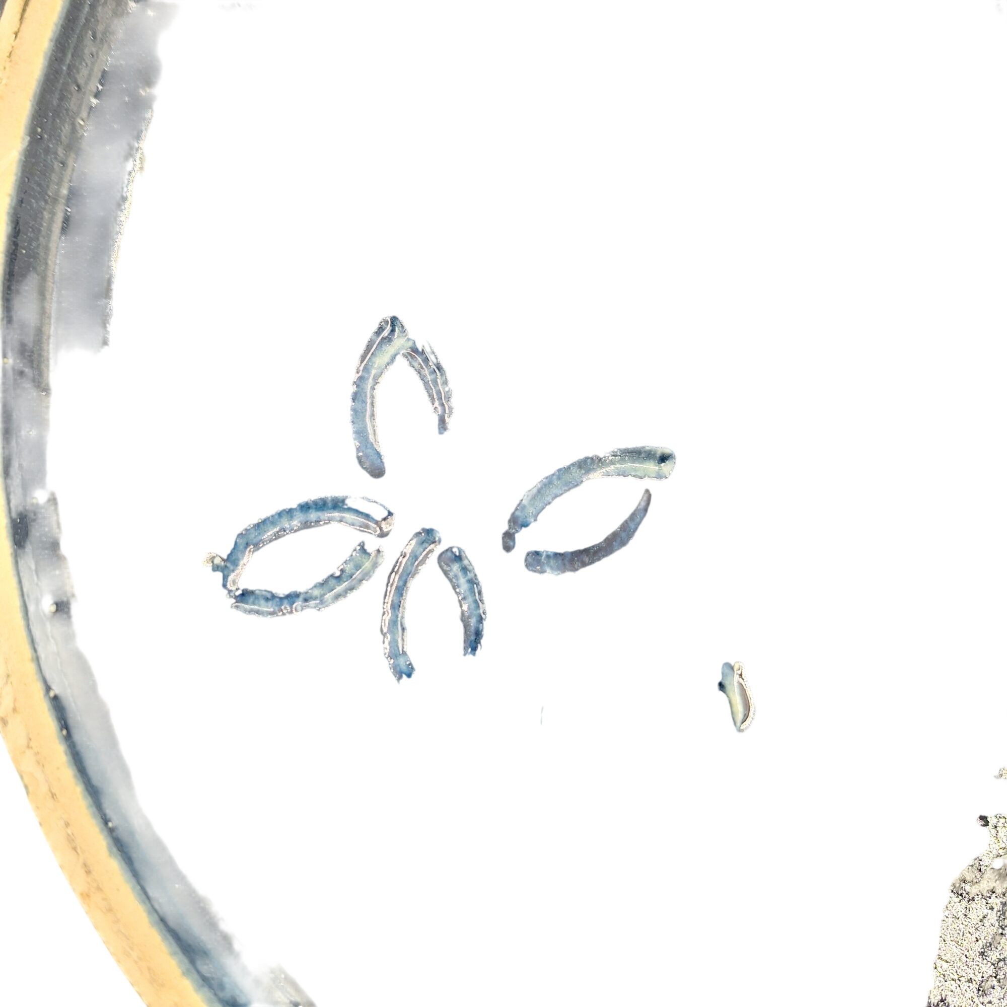 Acheter Plat rond. Bleu nuit. Décor floral et oiseau. Céramique. Estampillé d’un décor sous la pièce. Très bon état - 35,00 € Plat rond. Bleu nuit. Décor floral et oiseau. Céramique. Estampillé d’un décor sous la pièce. Très bon état reconditionné disponible sur Label Emmaüs