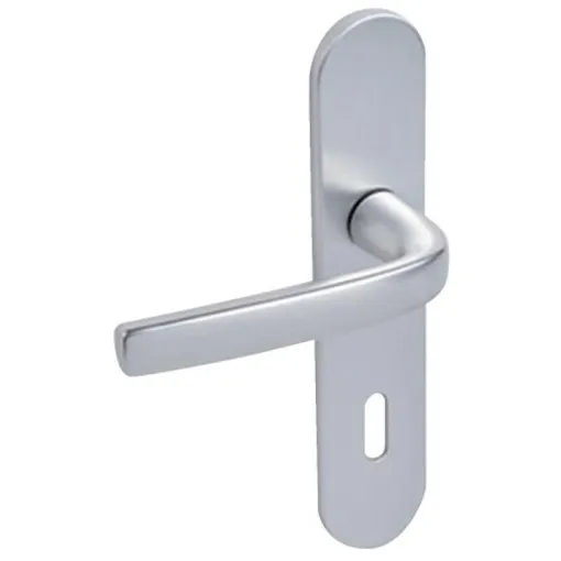 Acheter Poignées sur plaques condamnation - entraxe 165 mm - argent - Logio VACHETTE occasion - 14,00 € Poignées sur plaques condamnation - entraxe 165 mm - argent - Logio VACHETTE occasion reconditionné disponible sur Rakuten