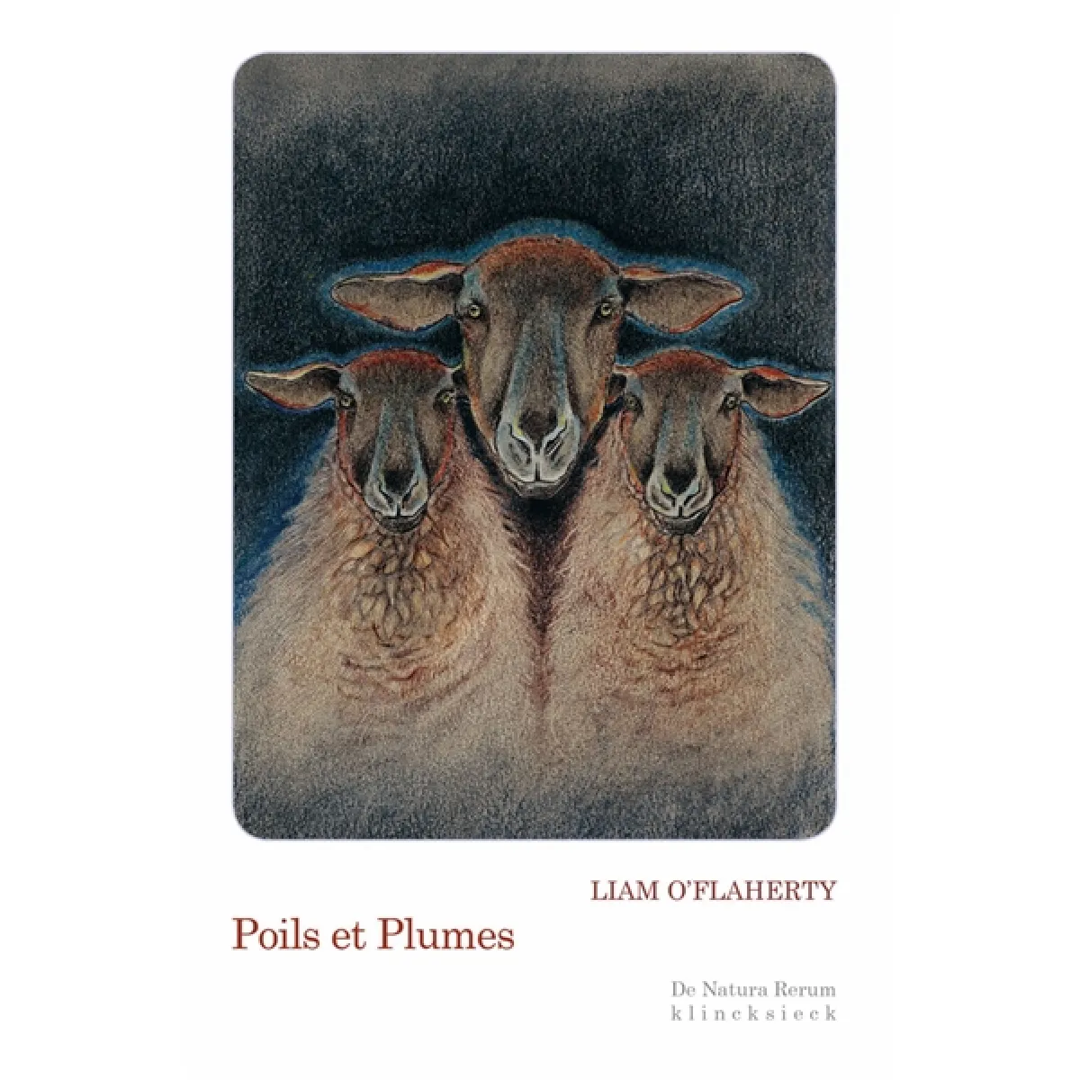 Acheter Poils et plumes État correct - 13,63 € Poils et plumes État correct N/A (Il ne s'agit pas d'une marque reconditionné disponible sur Rue du Commerce Seconde Vie