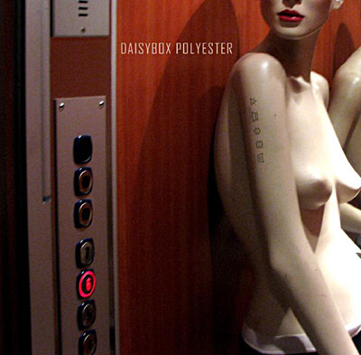 Acheter Polyester État correct - 17,31 € Polyester État correct reconditionné disponible sur Fnac