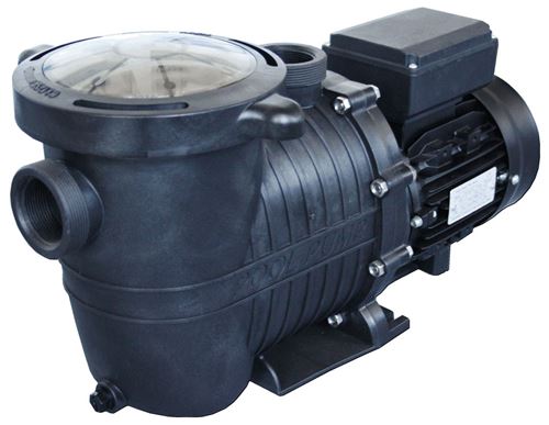 Pompe auto-amorçante 1 cv avec préfiltre - 18m3/h État correct reconditionné disponible sur Fnac