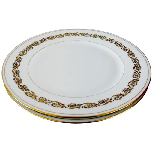 Porcelaine Limoges Raynaud 2 Assiettes Décor Or Bon état reconditionné disponible sur Rakuten