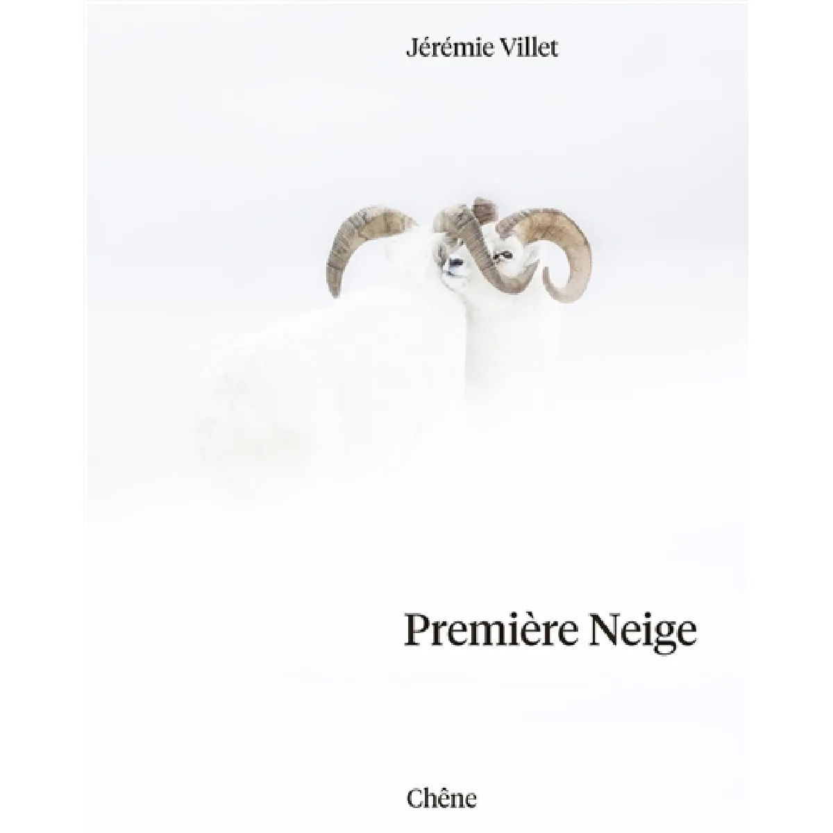 Acheter Première neige État correct - 30,05 € Première neige État correct N/A (Il ne s'agit pas d'une marque reconditionné disponible sur Rue du Commerce Seconde Vie
