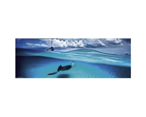 Puzzle 1000 Pièces : Alexander von Humboldt : Stingray, Heye État correct N/A reconditionné disponible sur Fnac