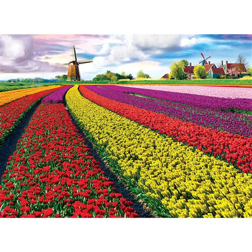 Puzzle 1000 pièces : Champ de tulipes Eurographics État correct N/A reconditionné disponible sur Fnac